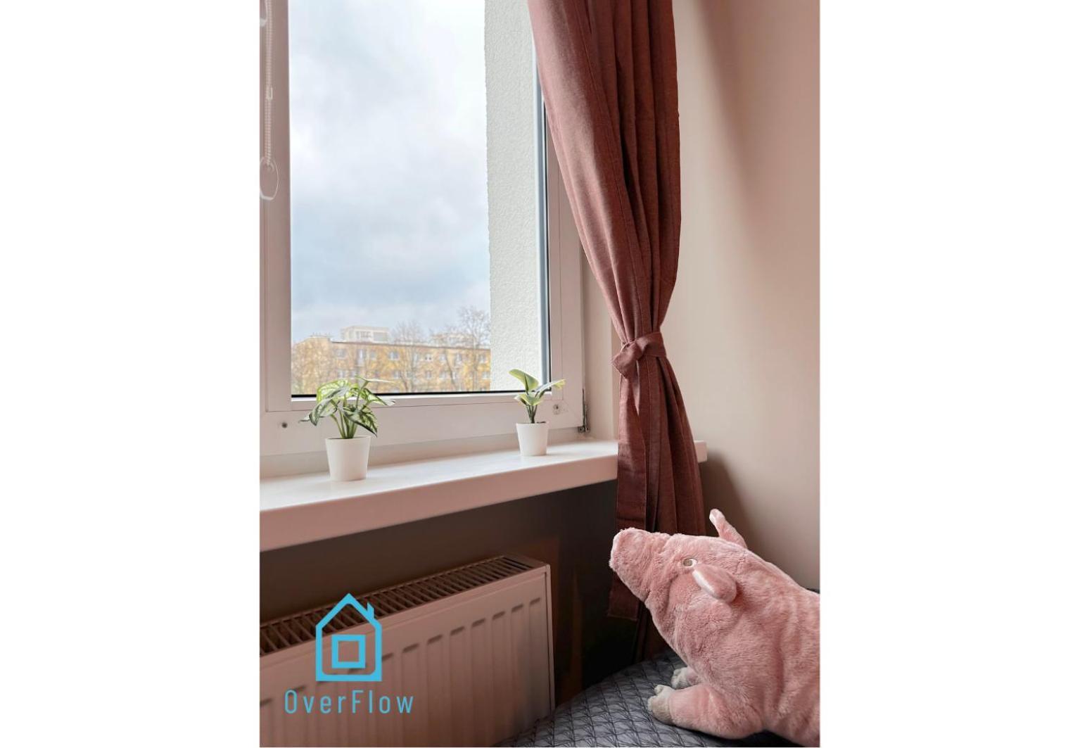 Piggy Room Гданськ Екстер'єр фото
